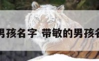 带敏的男孩名字 带敏的男孩名字大全