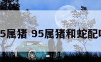 95属猪 95属猪和蛇配吗