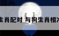 与狗的生肖配对 与狗生肖相冲的生肖