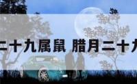 腊月二十九属鼠 腊月二十九属相