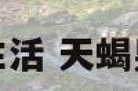 和天蝎男生活 天蝎男生活起居