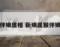 新娘属猴伴娘属相 新娘属猴伴娘属相要求