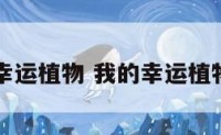 自己的幸运植物 我的幸运植物是什么