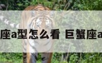 巨蟹座a型怎么看 巨蟹座a型血