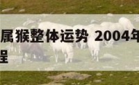 2004年属猴整体运势 2004年属猴运势及运程