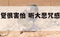 听大悲咒感觉很害怕 听大悲咒感觉很害怕怎么办