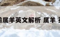 睡前属羊英文解析 属羊 英语