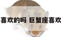 巨蟹座喜欢的吗 巨蟹座喜欢哪个人