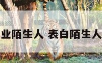 表白一位事业陌生人 表白陌生人成功的概率