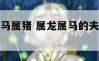 家里属龙属马属猪 属龙属马的夫妻要个属什么的宝宝