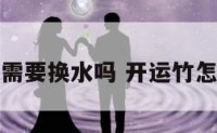 开运竹需要换水吗 开运竹怎么水养