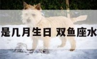 水双鱼座是几月生日 双鱼座水瓶座日期
