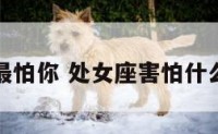 处女座最怕你 处女座害怕什么样的人