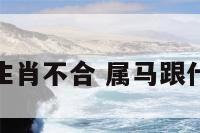属马与什么生肖不合 属马跟什么生肖不合