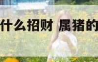 属猪的家里放什么招财 属猪的家里放什么不破财
