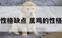 属鸡的性格缺点 属鸡的性格优缺点
