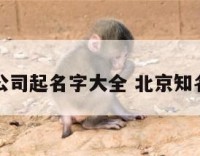 北京建筑公司起名字大全 北京知名建筑公司