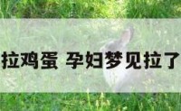孕妇梦见拉鸡蛋 孕妇梦见拉了一大坨屎