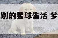 梦见我穿越到别的星球生活 梦见我穿越到别的星球生活了
