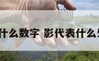 影是什么数字 影代表什么生肖?