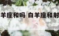 白羊座和白羊座和吗 白羊座和射手座配对指数是多少