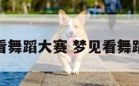 梦见看舞蹈大赛 梦见看舞蹈表演