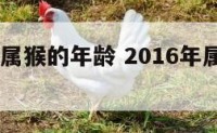 2016年属猴的年龄 2016年属猴的今年多大