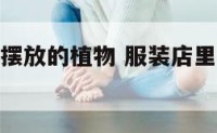服装店适合摆放的植物 服装店里摆什么小绿植可以招财