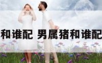 男属猪和谁配 男属猪和谁配对最好