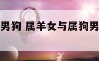 属羊女和属男狗 属羊女与属狗男相结合怎么样