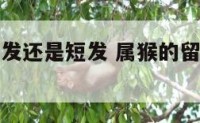 属猴适合长发还是短发 属猴的留什么发型最好