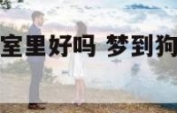 梦到狗睡到卧室里好吗 梦到狗睡到卧室里好吗为什么