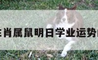 包含生肖属鼠明日学业运势的词条