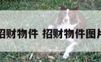 招财物件 招财物件图片