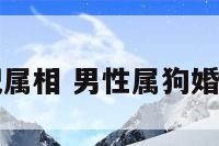 男性属狗婚配属相 男性属狗婚配属相怎么样