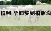 孕妇梦到在拍照 孕妇梦到拍照没拍好生男生女