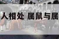 属鼠与属羊的人相处 属鼠与属羊的人相处如何