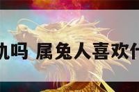 属兔喜欢出轨吗 属兔人喜欢什么样的情人