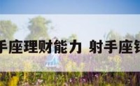 射手座理财能力 射手座钱财