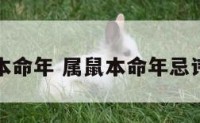 属鼠不怕本命年 属鼠本命年忌讳什么属相