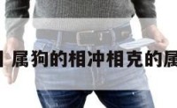 属狗的辟相 属狗的相冲相克的属相是什么?