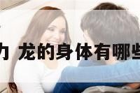 龙身体的能力 龙的身体有哪些动物的特点