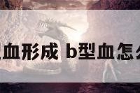 B型血形成 b型血怎么了