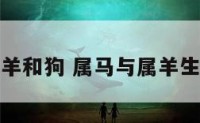 属马生了羊和狗 属马与属羊生孩子属相