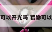 貔貅摆件可以开光吗 貔貅可以随便摆吗