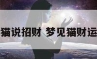 梦见猫说招财 梦见猫财运如何