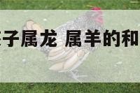 夫妻属羊鼠孩子属龙 属羊的和属鼠的孩子相冲吗
