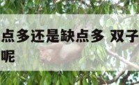 双子座的优点多还是缺点多 双子座的优点多还是缺点多呢