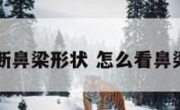怎么判断鼻梁形状 怎么看鼻梁高不高