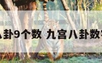 九宫八卦9个数 九宫八卦数字排列